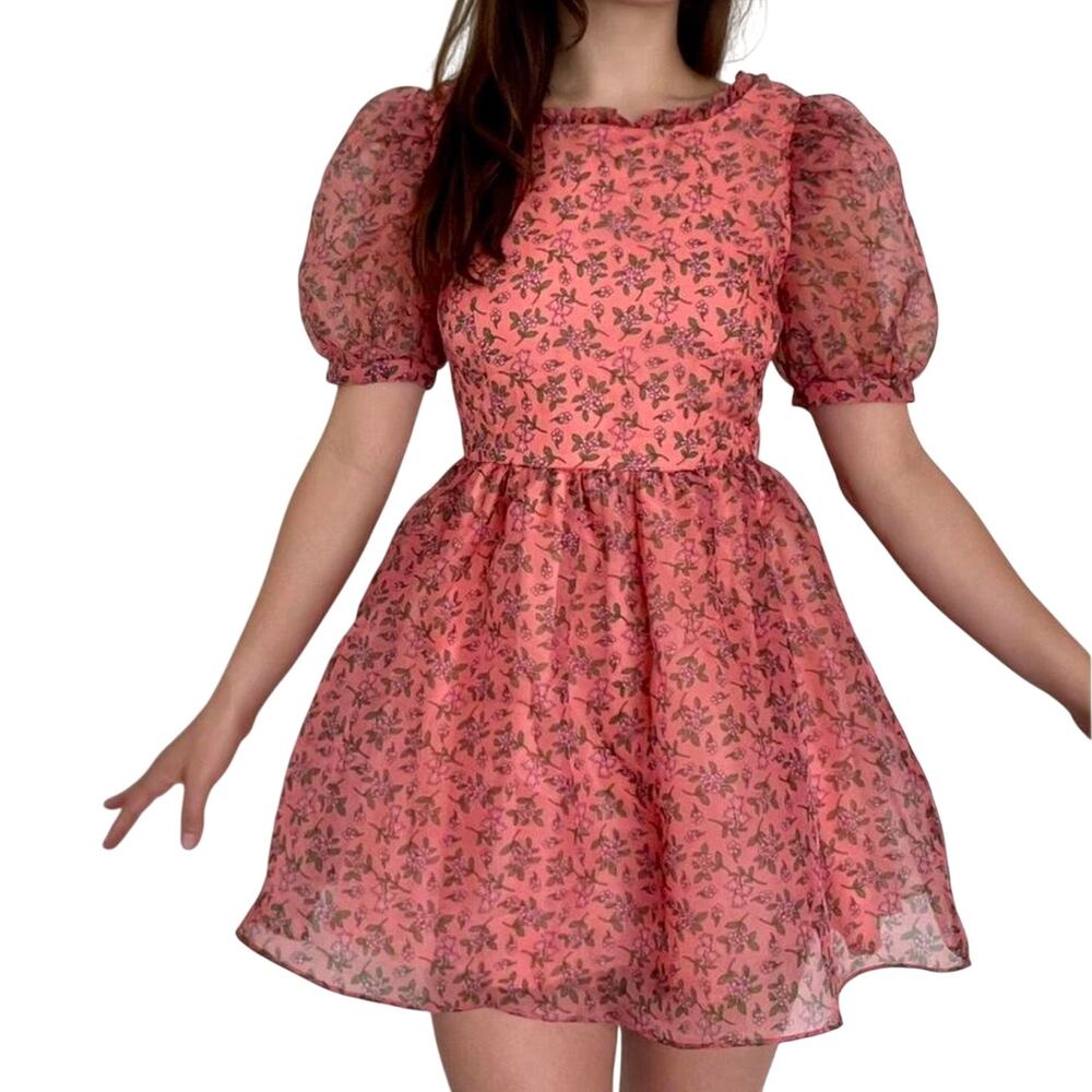LOST + WANDER Fairy Venus Floral Cottage Puff-Sleeve Babydoll Mini Dress Size XS